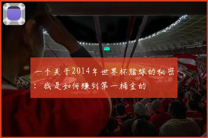 一个关于2014年世界杯赌球的秘密：我是如何赚到第一桶金的