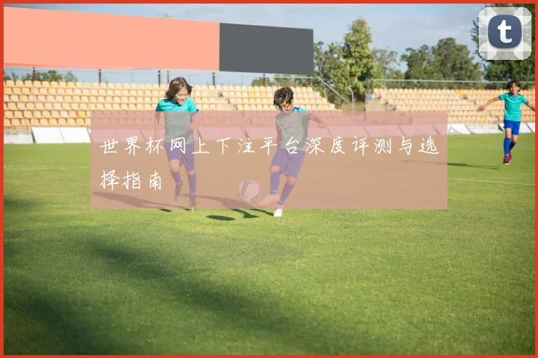 世界杯网上下注平台深度评测与选择指南