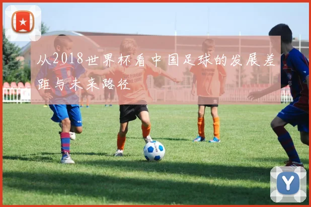 从2018世界杯看中国足球的发展差距与未来路径