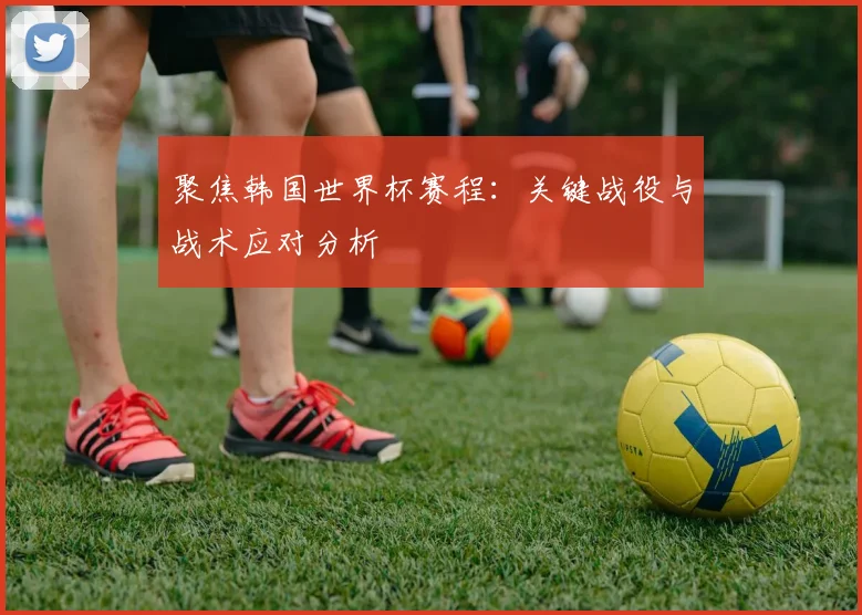 聚焦韩国世界杯赛程：关键战役与战术应对分析