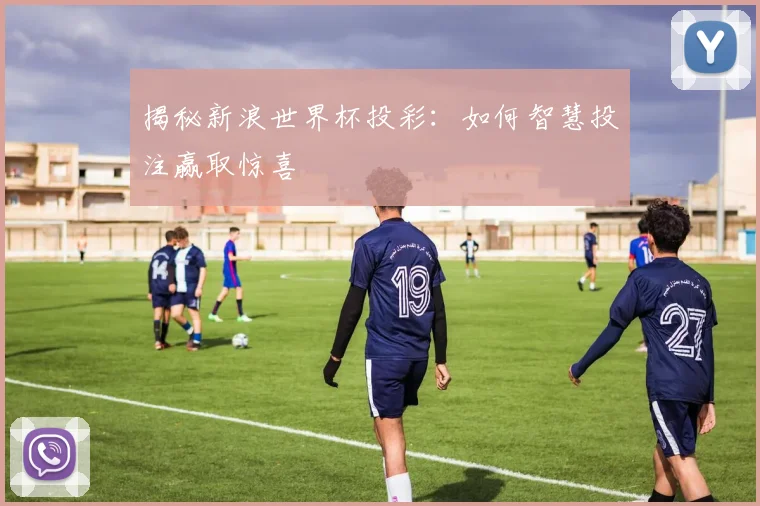 揭秘新浪世界杯投彩：如何智慧投注赢取惊喜