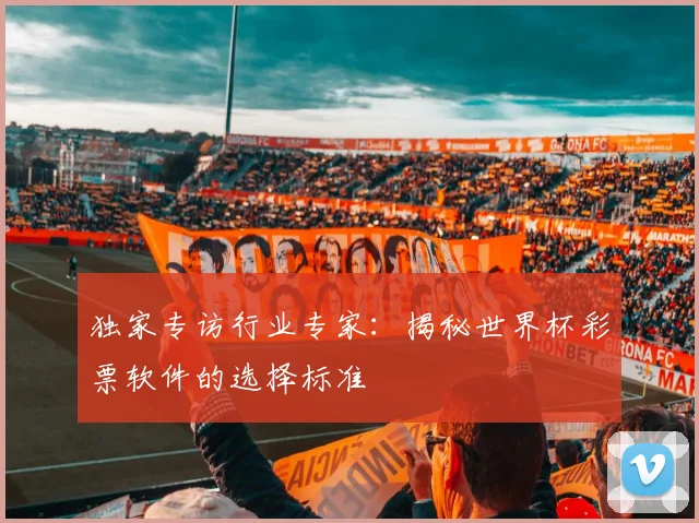 独家专访行业专家：揭秘世界杯彩票软件的选择标准