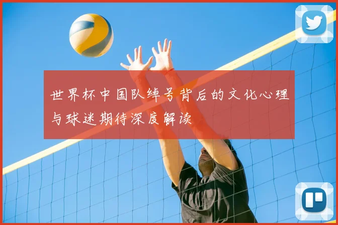 世界杯中国队绰号背后的文化心理与球迷期待深度解读