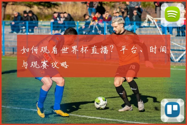 如何观看世界杯直播?平台、时间与观赛攻略