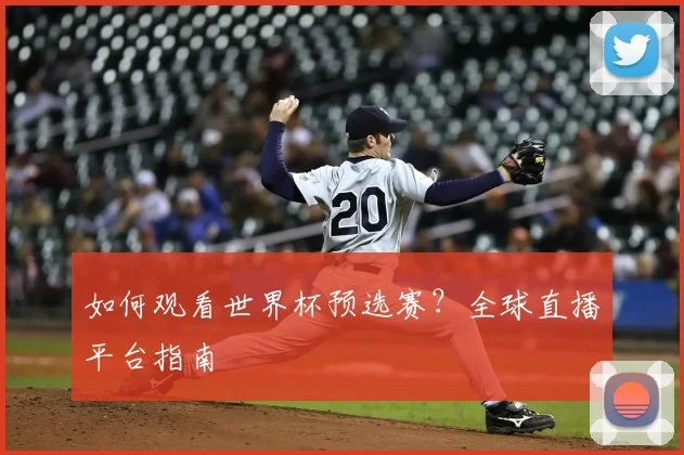如何观看世界杯预选赛?全球直播平台指南
