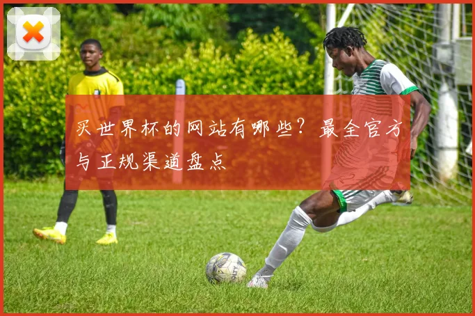 买世界杯的网站有哪些？最全官方与正规渠道盘点