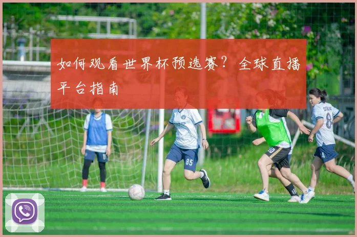 如何观看世界杯预选赛?全球直播平台指南