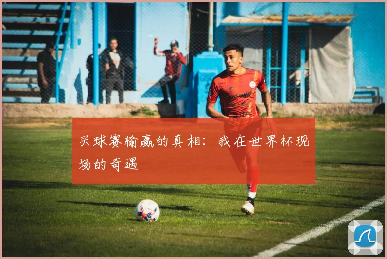 买球赛输赢的真相:我在世界杯现场的奇遇