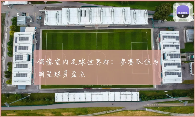 偶像室内足球世界杯：参赛队伍与明星球员盘点
